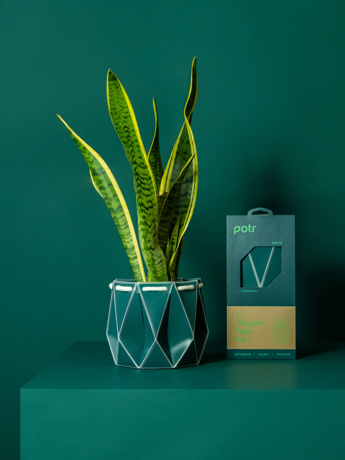 POTR | Dark Teal Self-Watering Plant Pot | 15cm