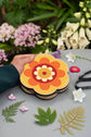 Flower Shaped Press - Orange & Yellow