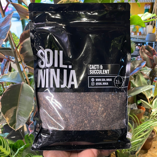 A bag of Soil Ninja | Cacti and Succulent 2.5L in Urban Tropicana’s store in Chiswick, London.