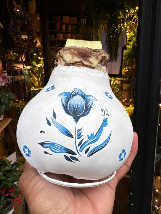 Amaryllis Wax Bulb | Hand Painted White