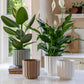 Bourton Scalloped Edge Ceramic Indoor Planter | Clay Beige | 16cm