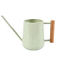 Indoor Watering Can - Pale Jade