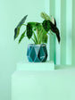 POTR | Dark Teal Self-Watering Plant Pot | 15cm