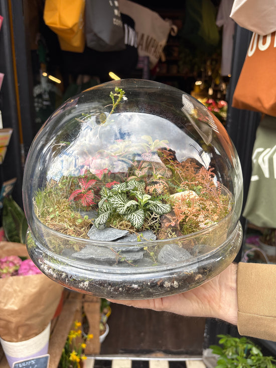 Terrarium Globe
