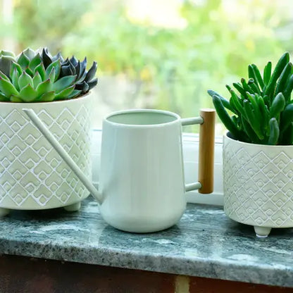 Indoor Watering Can | Pale Jade