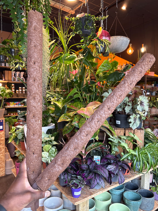 Kratiste Climbing Pole