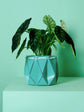 POTR | Aqua Blue Self-Watering Plant Pot | 18cm
