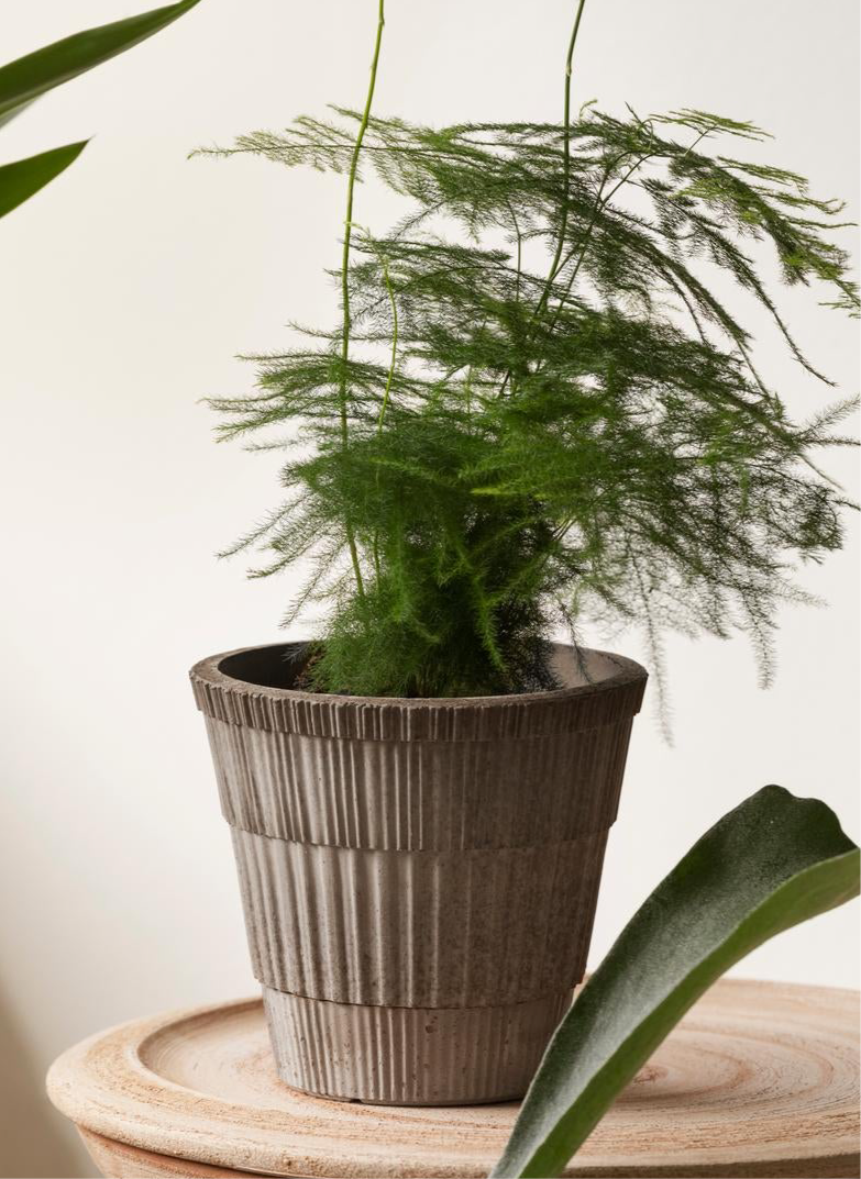 Bergs Potter | Atlas | Grey Pot &amp; Saucer