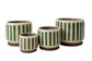 NEW Collectors Indoor Pot 10cm Green Stripe