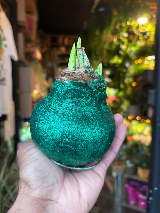 Amaryllis Wax Glitter | Green