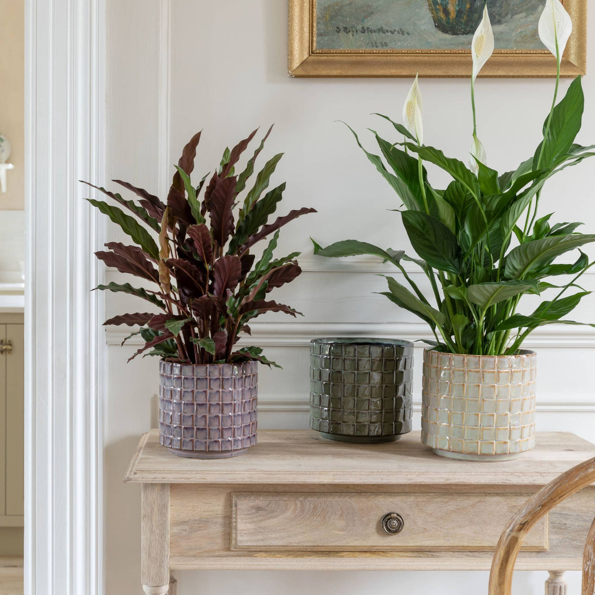 Tarah Textured Glaze Ceramic Indoor Planter | Ivory White | 18cm