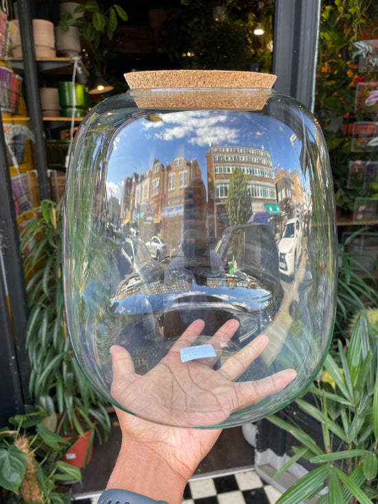 Terrarium Vessel | Richmond