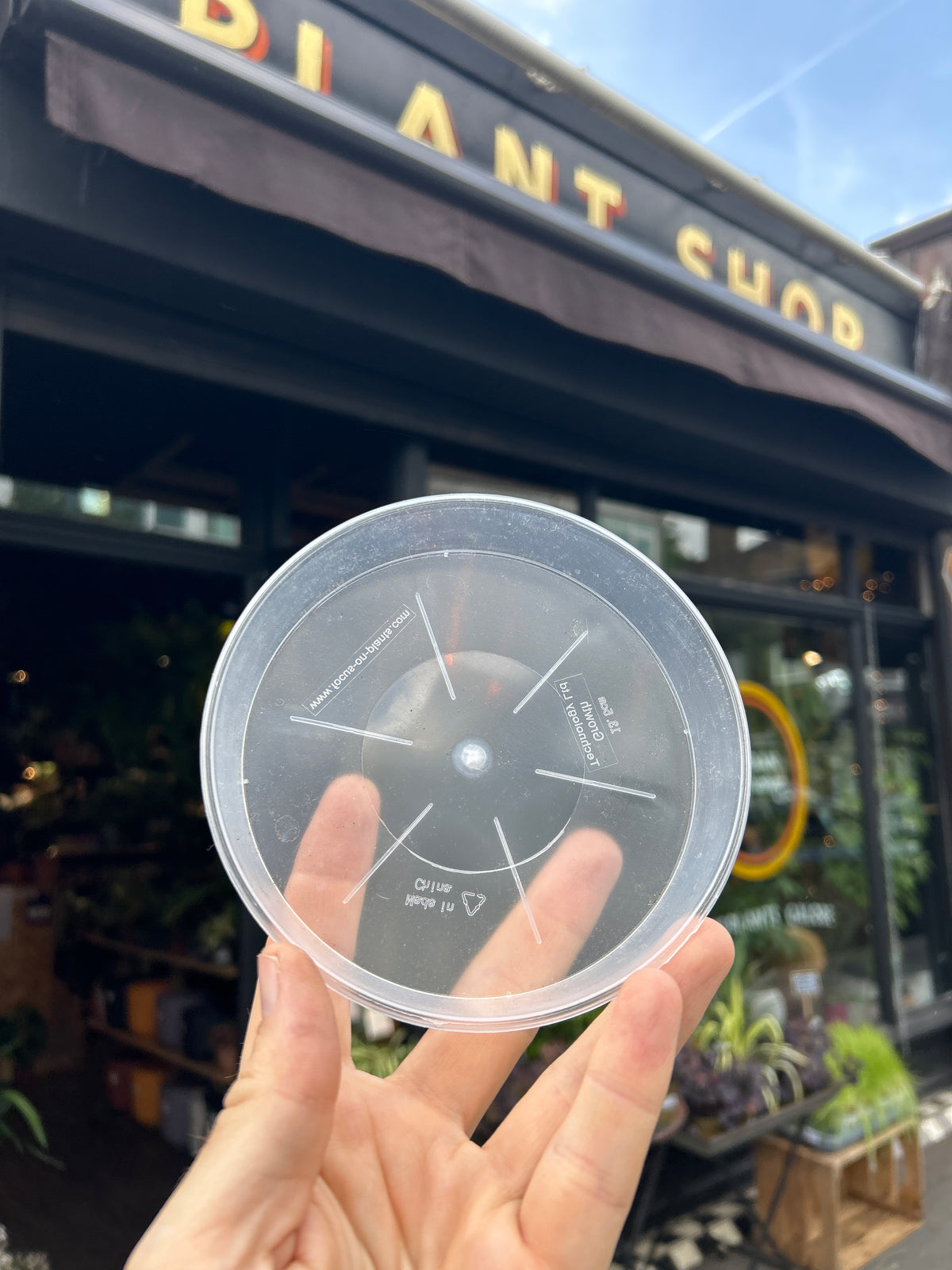 Saucers
