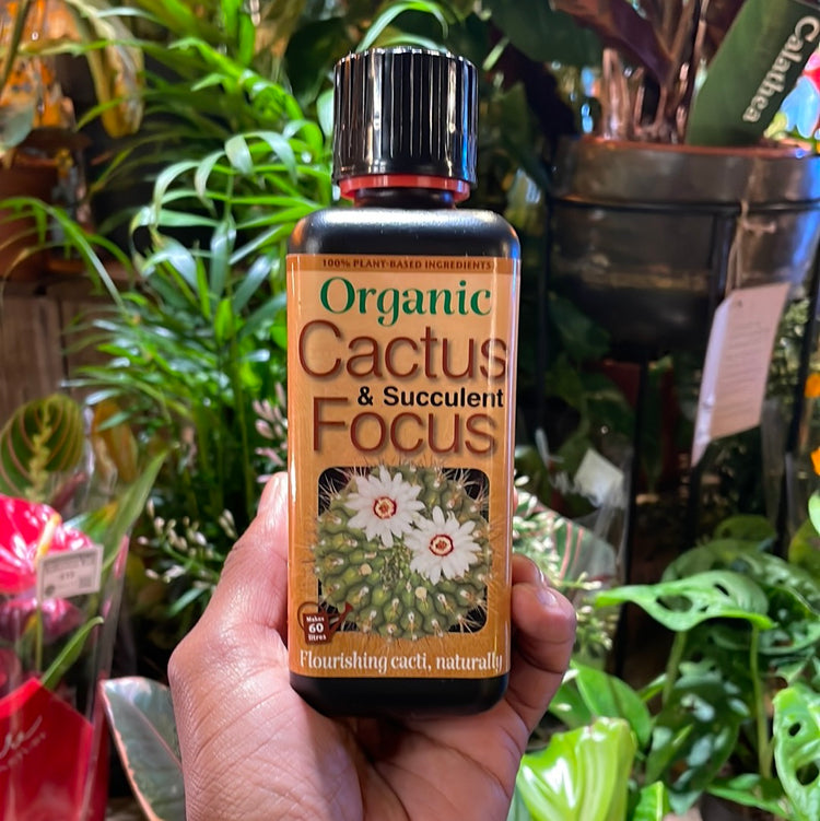 Bottle of “Organic Cactus and Succulent Focus” in Urban Tropicana&