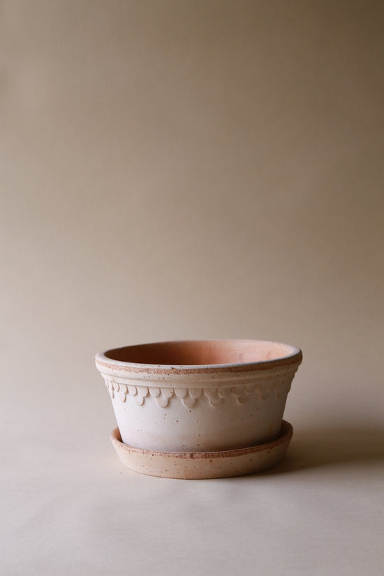 Bergs Potter | Copenhagen | Rosa Low Pot & Saucer