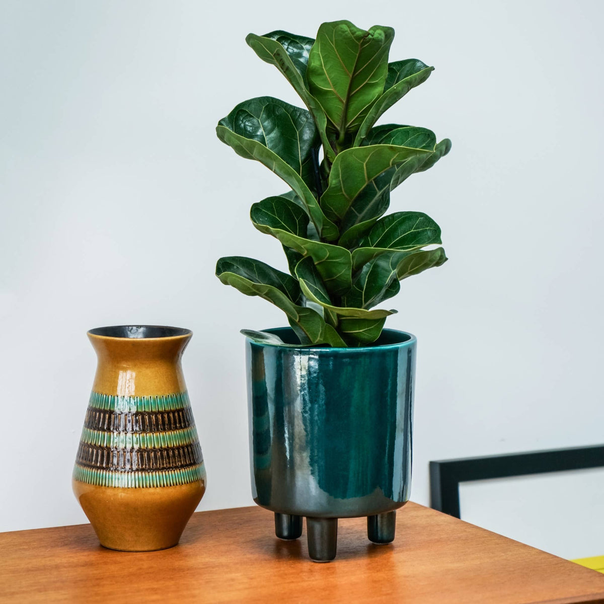 Pisa Premium Glaze Ceramic Indoor Plant Pot | Emerald | 16cm