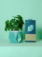 POTR | Aqua Blue Self-Watering Plant Pot | 15cm
