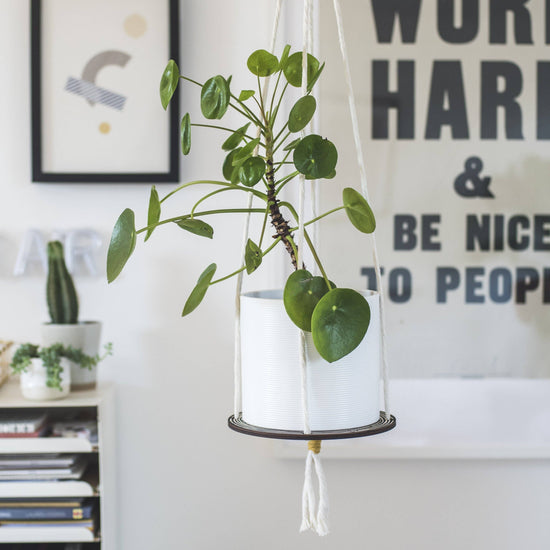 Plant Hanger - Wood