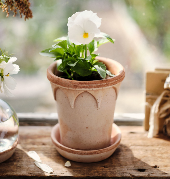 Bergs Potter | Elizabeth | Rosa Pot & Saucer