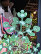 An Adenia Perrieri plant in front of Urban Tropicana’s plant shop in Chiswick, London