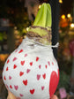 A Heart Amaryllis Wax Bulb in front of Urban Tropicana’s Plant Shop in Chiswick London