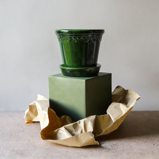 A Bergs Potter Copenhagen Emerald Green Pot & Saucer from Urban Tropicana’s plant shop in Chiswick London