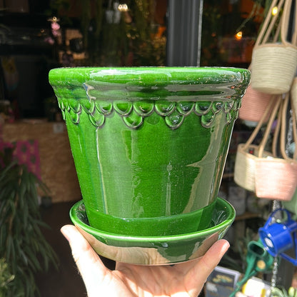 A Bergs Potter Copenhagen Emerald Green Pot & Saucer from Urban Tropicana’s plant shop in Chiswick London 