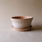A Bergs Potter Copenhagen Rosa Low Pot & Saucer from Urban Tropicana’s Plant Shop in Chiswick London