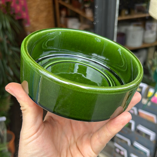 A Bergs Potter Hoff Glazed Emerald Green Saucer from Urban Tropicana’s plant shop in Chiswick London