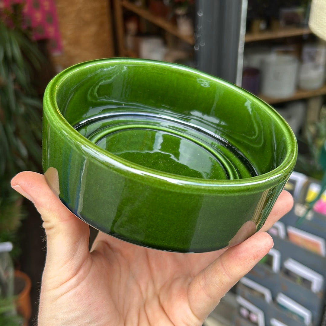 A Bergs Potter Hoff Glazed Emerald Green Saucer from Urban Tropicana’s plant shop in Chiswick London 