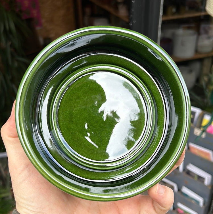 A Bergs Potter Hoff Glazed Emerald Green Saucer from Urban Tropicana’s plant shop in Chiswick London 