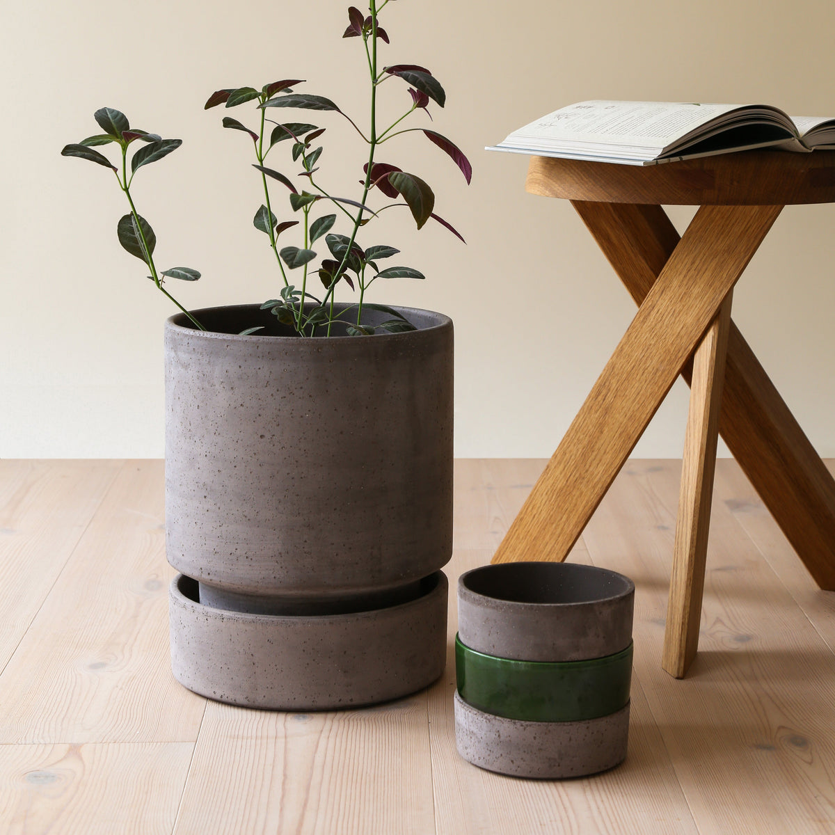A Bergs Potter Hoff Grey Pot from Urban Tropicana’s plant shop in Chiswick London 
