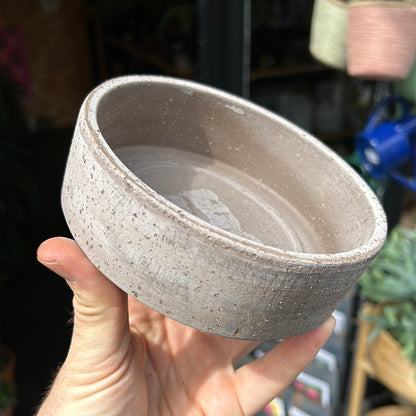 A Bergs Potter Hoff Grey Saucer from Urban Tropicana’s Plant Shop in Chiswick London