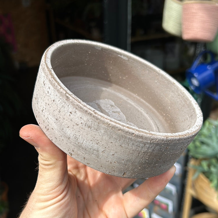 A Bergs Potter Hoff Grey Saucer from Urban Tropicana’s Plant Shop in Chiswick London
