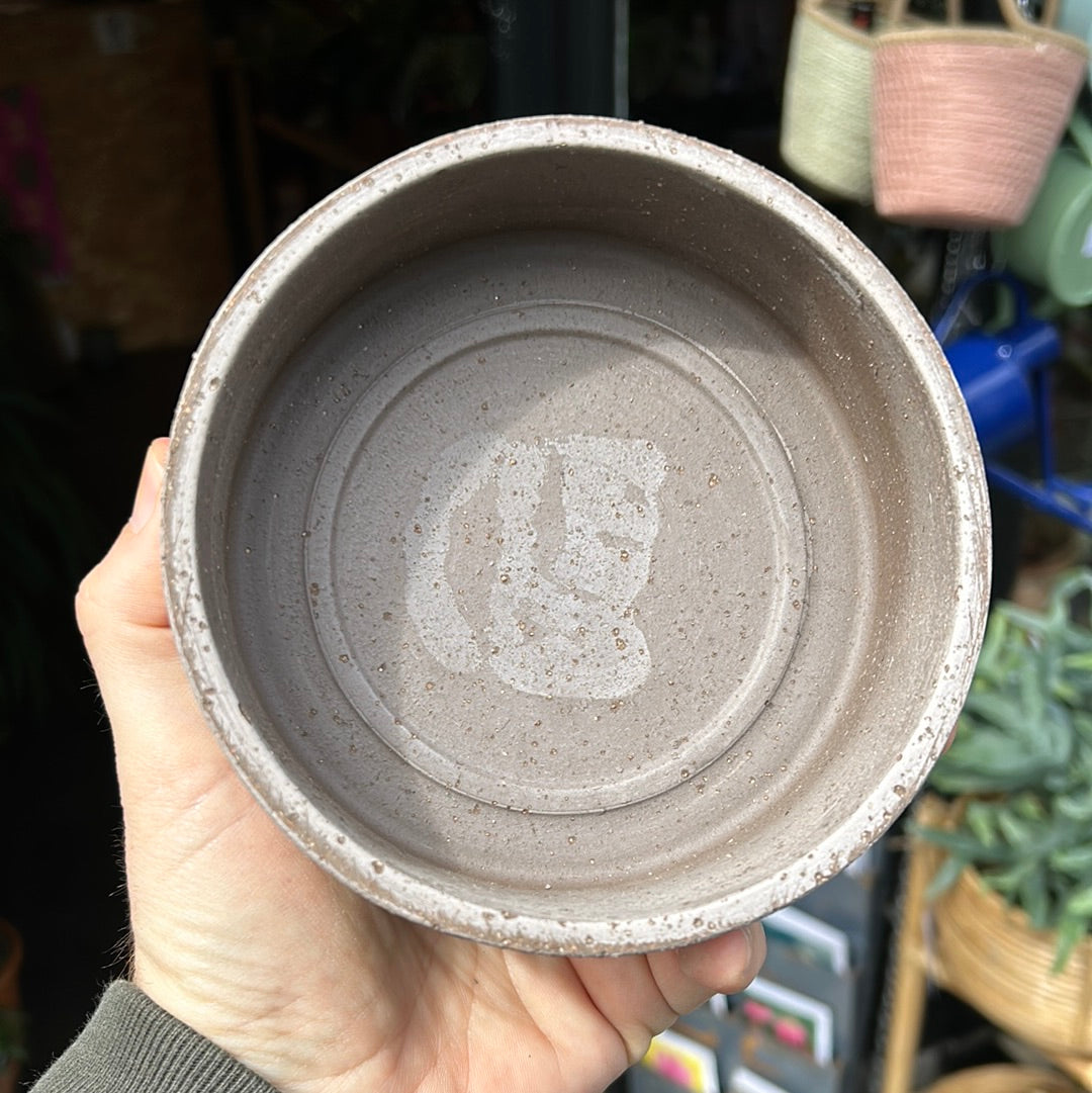 A Bergs Potter Hoff Grey Saucer from Urban Tropicana’s Plant Shop in Chiswick London