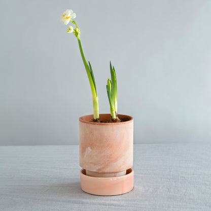 A Bergs Potter Hoff Rosa Pot from Urban Tropicana’s Plant Shop in Chiswick London 