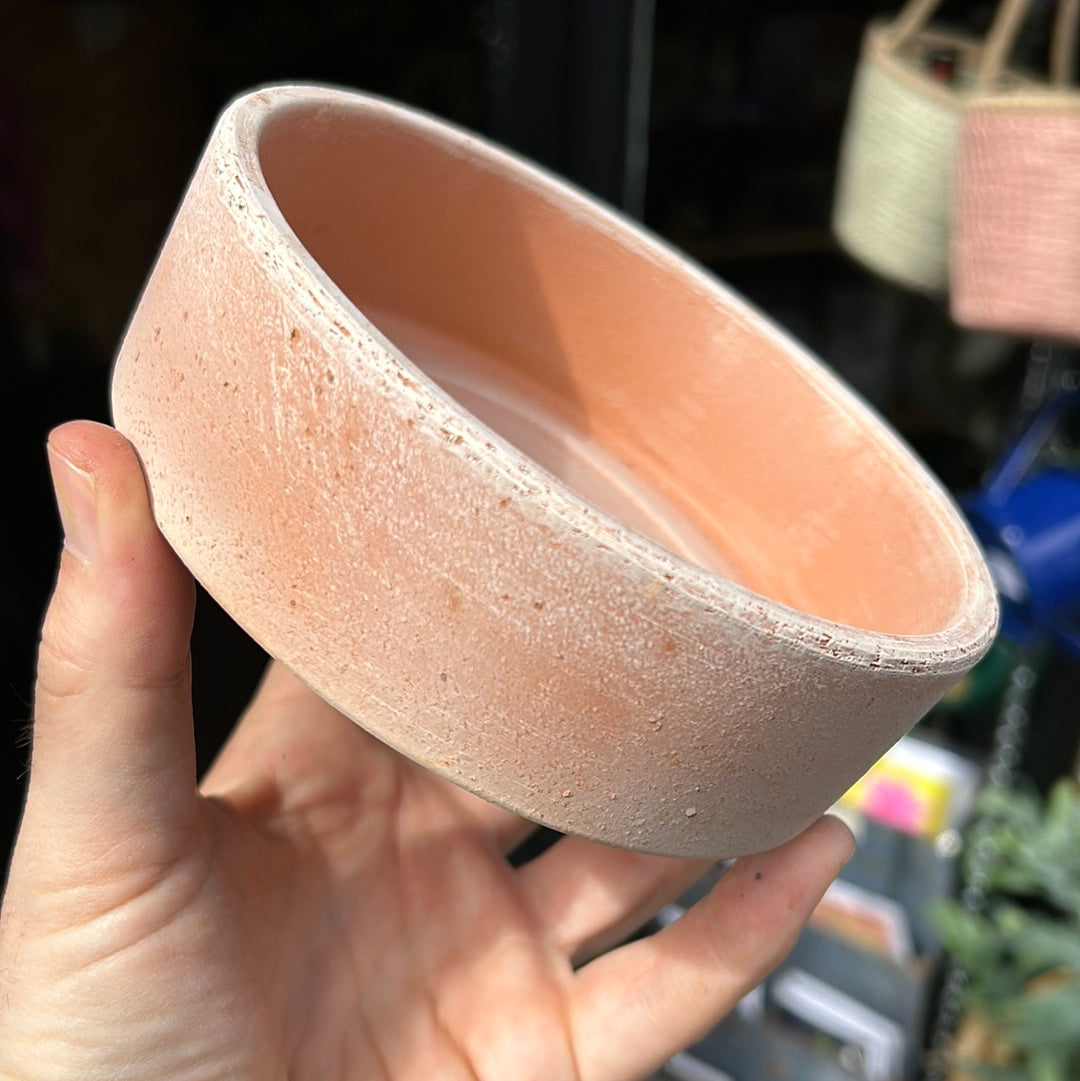 A Bergs Potter Hoff Rosa Saucer from Urban Tropicana’s Plant Shop in Chiswick London