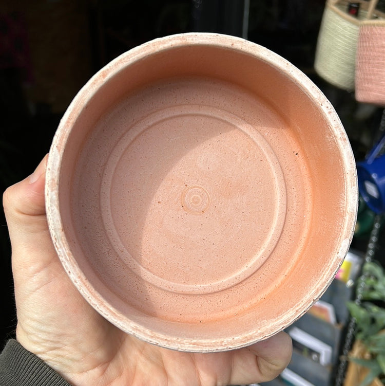 A Bergs Potter Hoff Rosa Saucer from Urban Tropicana’s Plant Shop in Chiswick London