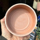 A Bergs Potter Hoff Rosa Saucer from Urban Tropicana’s Plant Shop in Chiswick London
