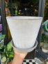 A Bergs Potter Julie Grey Pot & Saucer from Urban Tropicana’s Plant Shop in Chiswick London 