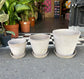 A Bergs Potter Julie Grey Pot & Saucer from Urban Tropicana’s Plant Shop in Chiswick London