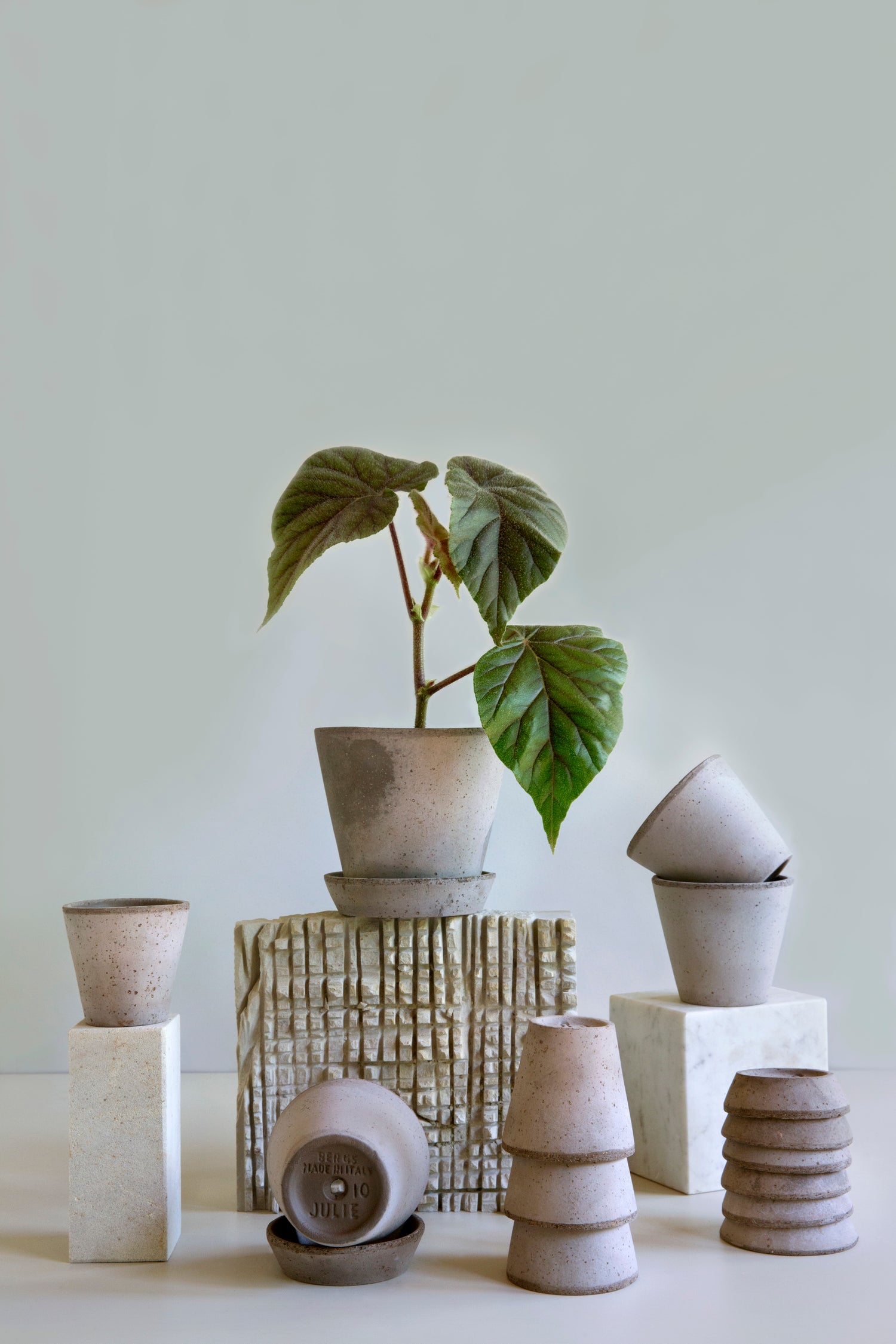 A Bergs Potter | Julie | Grey Pot & Saucer from Urban Tropicana’s Plant Shop in Chiswick London