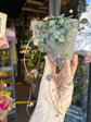 Ceropegia woodii (string of hearts) plant outside Urban Tropicana plant shop in Chiswick, London
