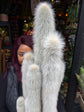 A Cleistocactus Straussi plant in front of Urban Tropicana’s Plant Shop in Chiswick London