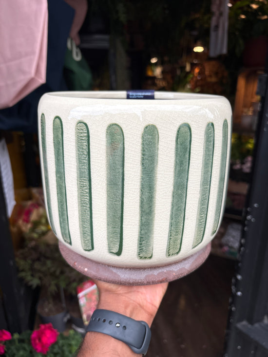 Green Stripe Pot | 18cm