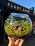Terrarium held in front of a plant shop with plants and soil visible