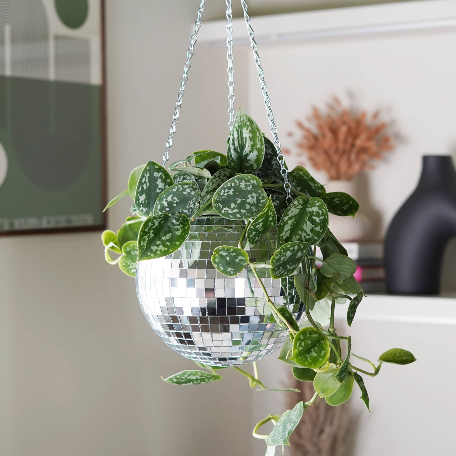 Disco ball hanging planter 8-inch outside Urban Tropicana plant shop in Chiswick, London