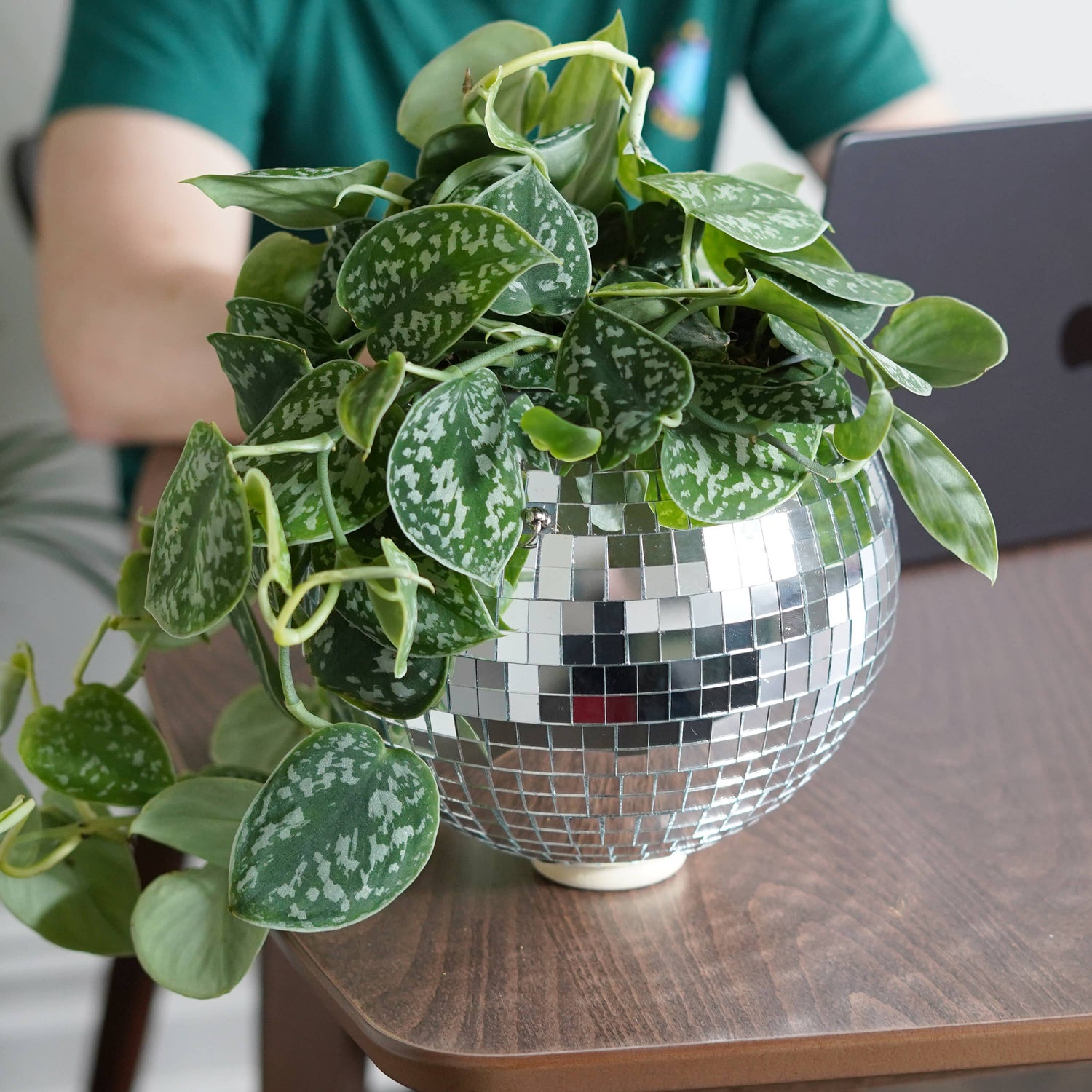 Disco ball hanging planter 8-inch outside Urban Tropicana plant shop in Chiswick, London