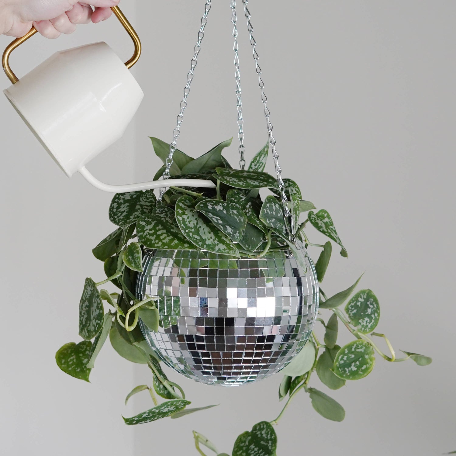 Disco ball hanging planter 8-inch outside Urban Tropicana plant shop in Chiswick, London