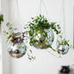 Disco ball hanging planter 8-inch outside Urban Tropicana plant shop in Chiswick, London